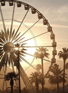 Coachella Bound? We've Got You Covered...