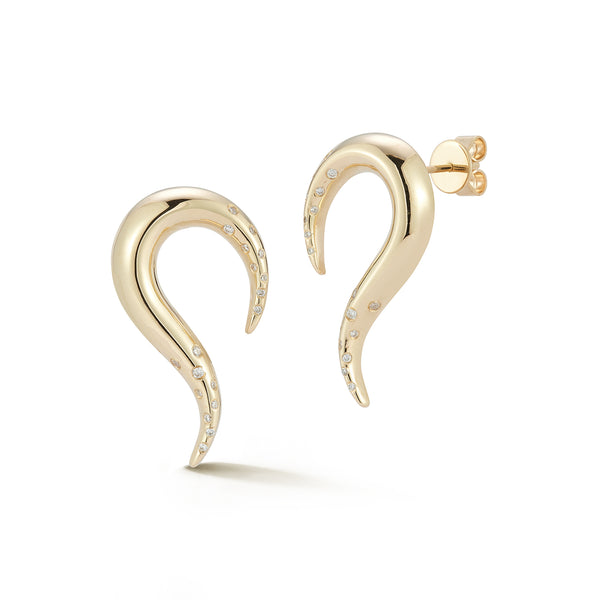 Swoosh Earrings