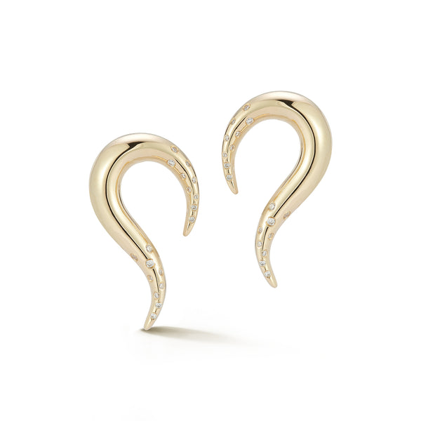 Swoosh Earrings